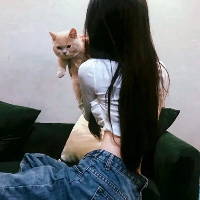 伙伴夫妻